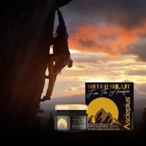 Sudha Shilajit