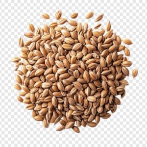 Carom Seed