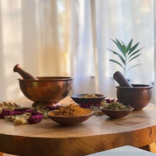 a-photo-representing-ayurveda-nexus-with-the-theme (1)